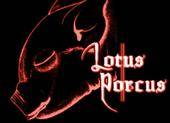 logo Lotus Porcus